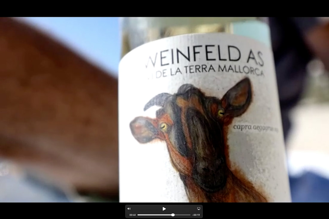 Ausschnitt eines finale Video produziert von fotoboss.ch